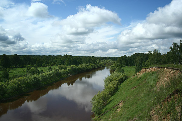 Берег реки Тара